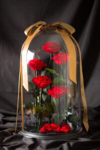 【特別なプレゼントや開店祝いに】DESTINY ROSE（デスティニーローズ）（5本立ち）Ⓑ