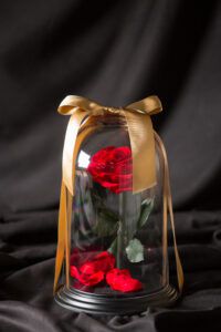 【特別なプレゼントや開店祝いに】DESTINY ROSE（デスティニーローズ）（1本立ち）Ⓑ