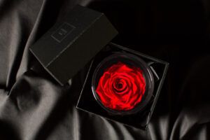 【特別なプレゼントや開店祝いに】BRILLIANT（ブリリアント） (S) Ⓑ