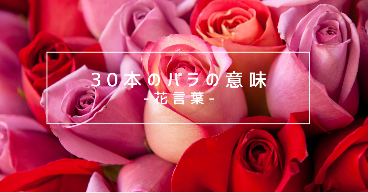 薔薇 30本の意味 