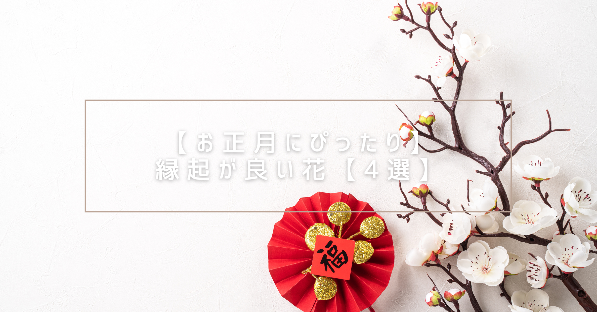 縁起が良い花
