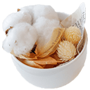 コットンフラワー