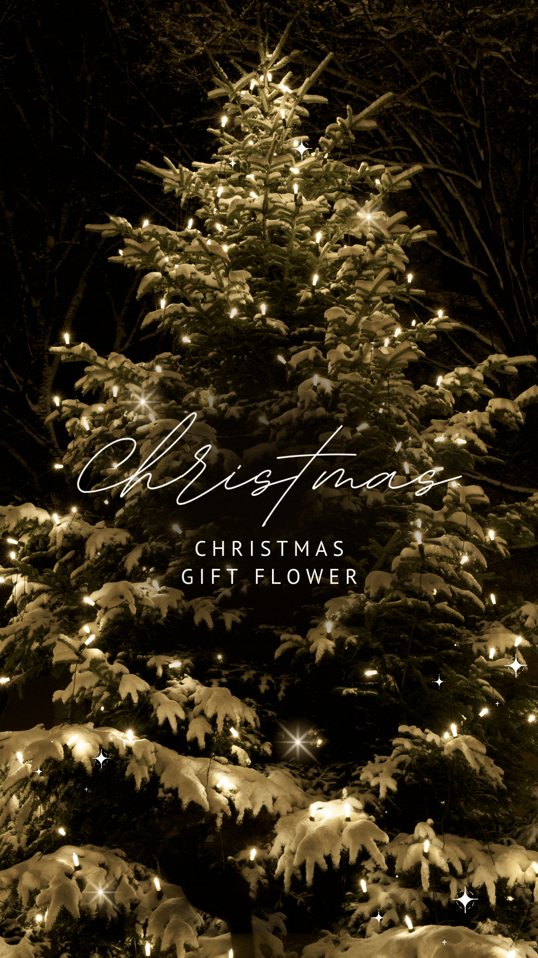 クリスマスに彩りを添えるフラワーギフト｜HUG FLOWERSの特別なクリスマスギフト