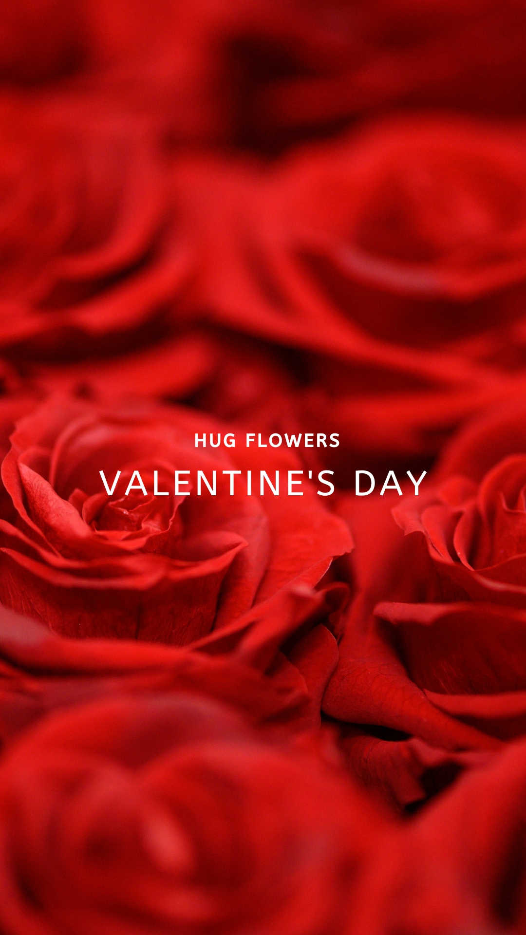 バレンタインギフト｜花とともに大切な人へ愛を贈る