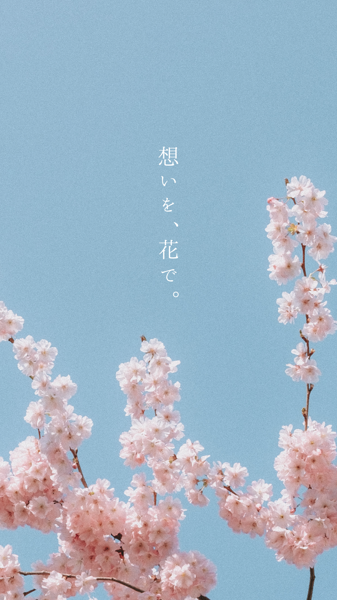 退職祝い・卒業・入学祝いに贈るギフトフラワー特集