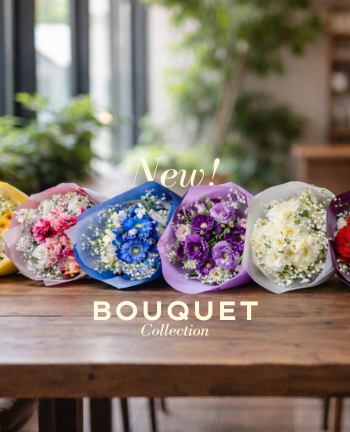 Signature Color Bouquet｜8色から選べるフレッシュカラーブーケ