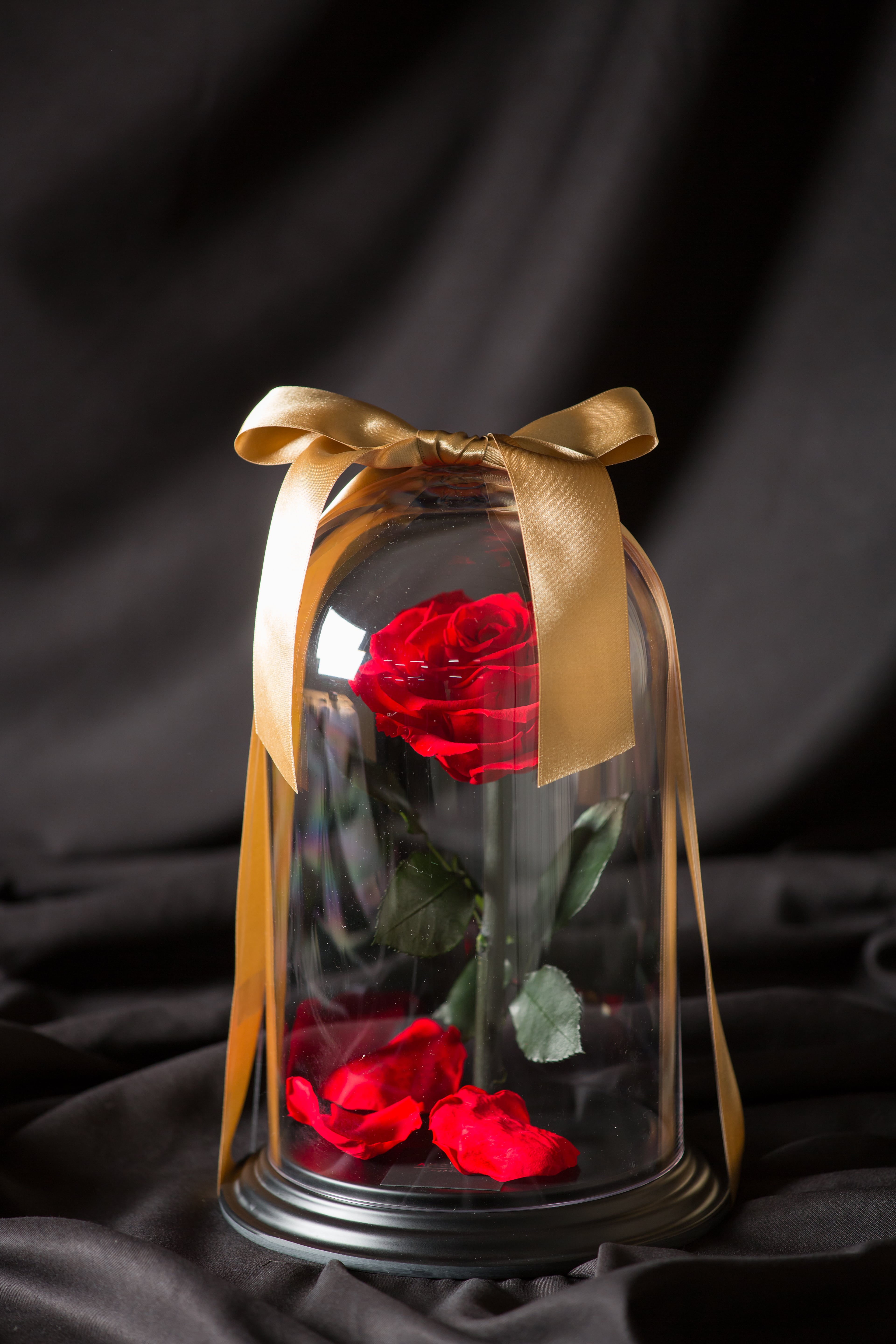 バラのプリザーブドフラワーAMOROSA