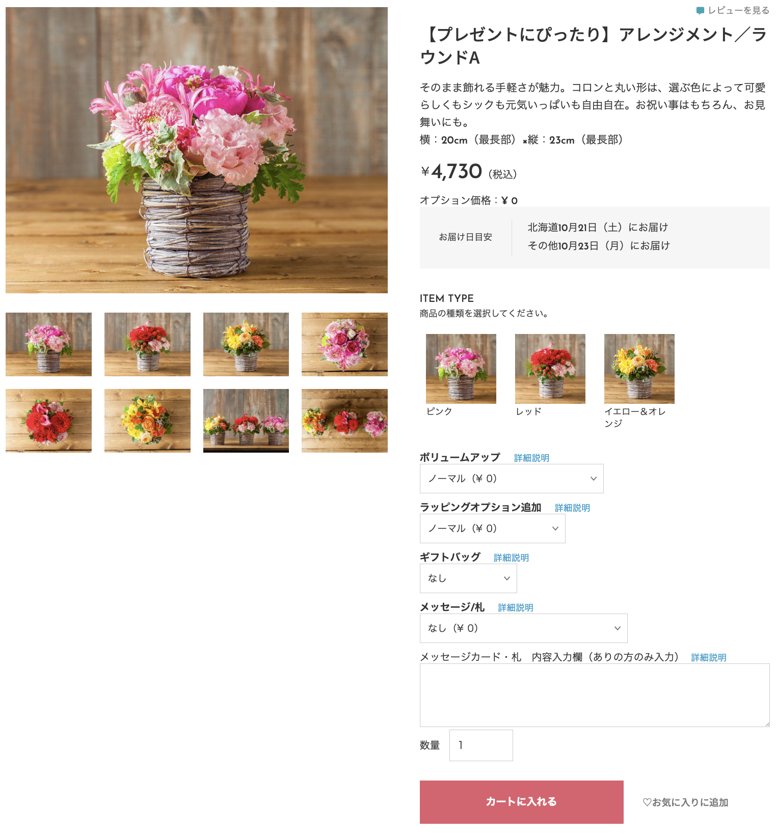 オプション選択リニューアル